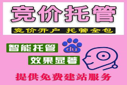 案例分析：SEM推广助力中小企业发展